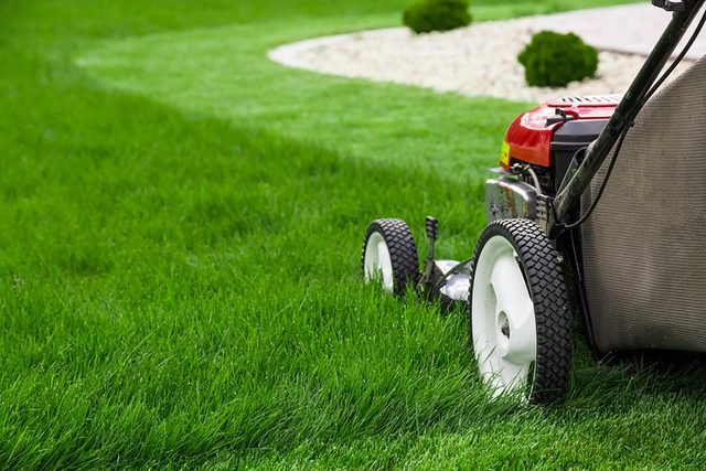 lawnmower on grass