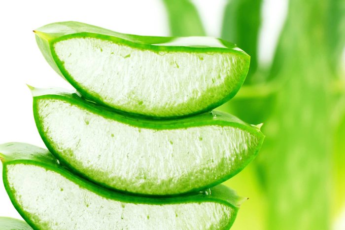 cut aloe vera fronds
