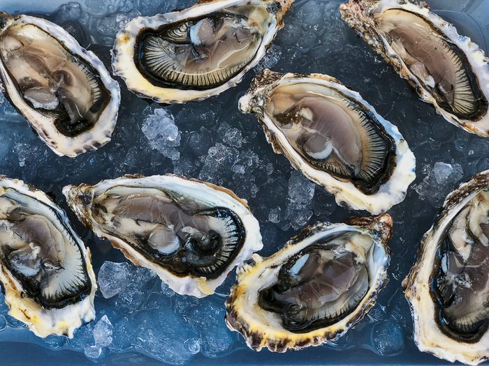 raw oysters shot from above