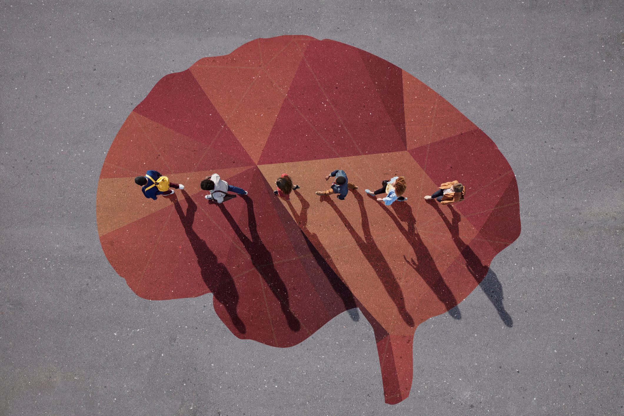 People walking in line across painted brain, on asphalt