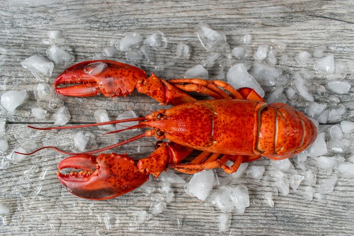 raw red lobster on ice