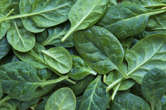 Full frame shot of leaf spinach