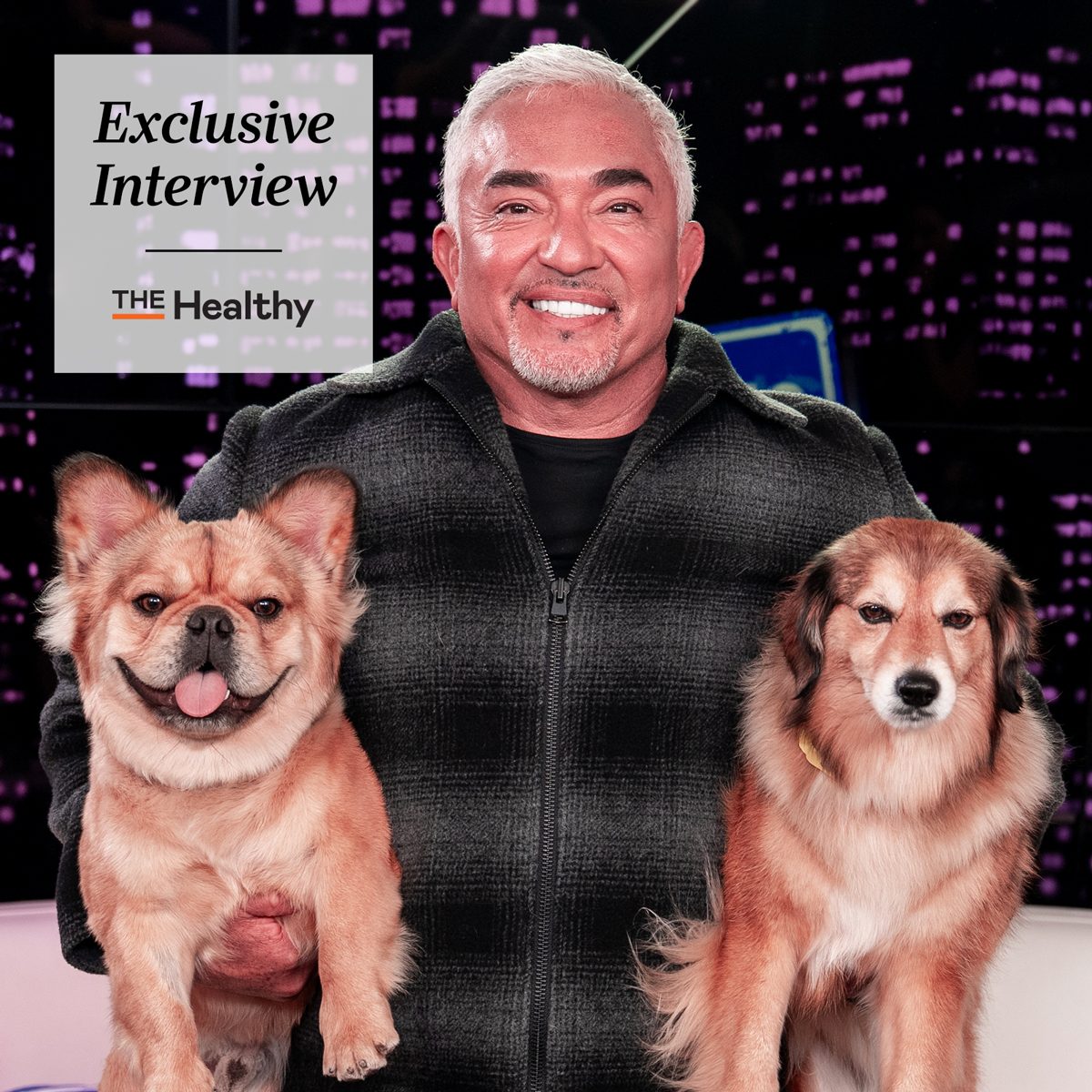 Cesar Millan on the Healing Effects of Companionship